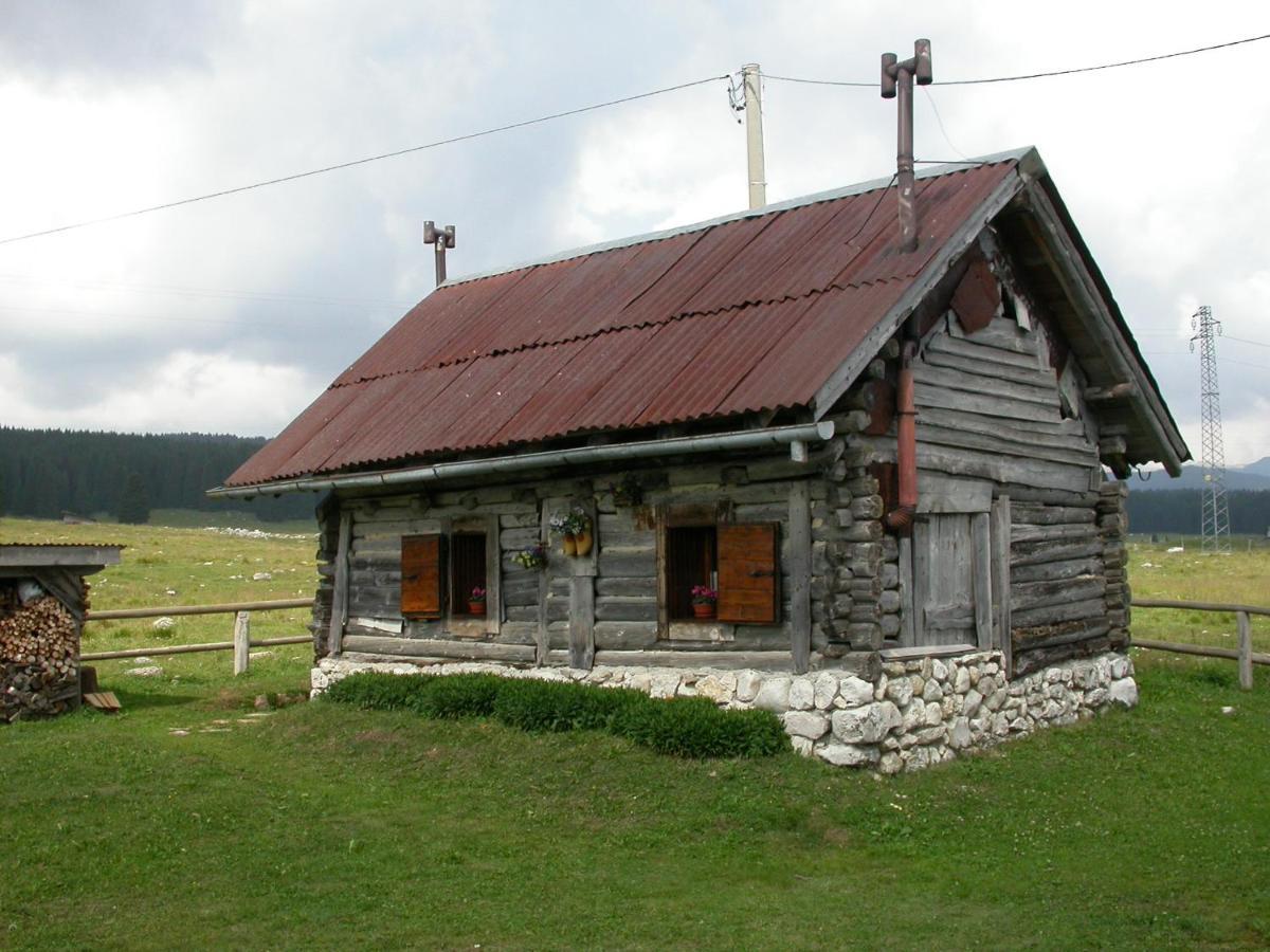 Hotel Alpi - Foza Экстерьер фото